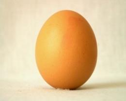 Silné stránky a tip, na čem stavět Ty Vedoucí typ Je aktivní, dokáže se prosadit, má vnitřní sílu.