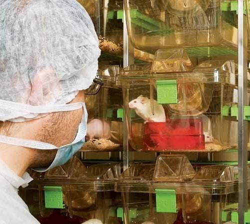 systém Nejvyšší úroveň ochrany splňující požadavky bariérového chovu DVC digitální ventilované chovné