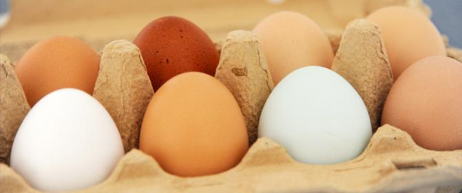 VÝSLEDKY Slepičí vaječný bílek Alergie na slepičí vaječný bílek je potravinová alergie, jejímiž hlavními spouštěči jsou ovomukoid, ovalbumin, ovotransferin a lysozymy.