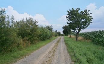 10: Stromořadí z