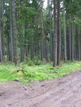 Letohradská