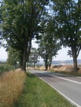 Oboře VP 16: