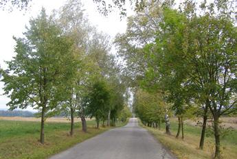 Dlouhý 
