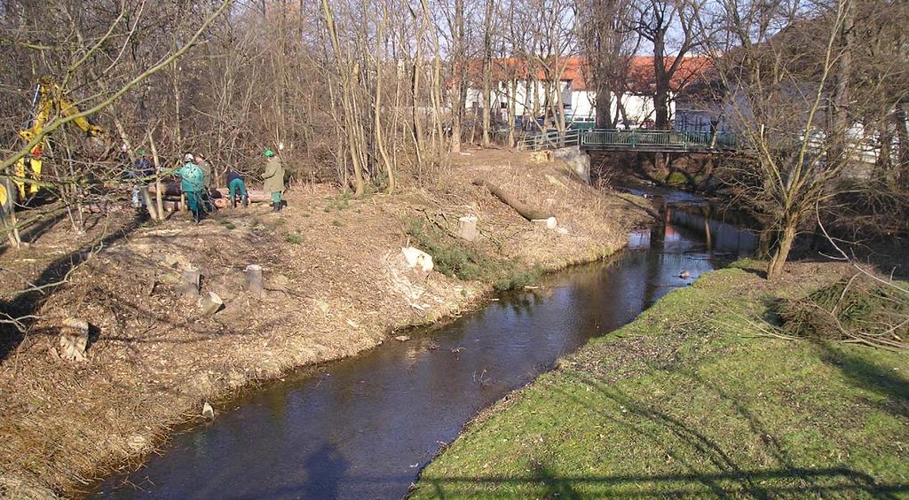 Revitalizační protipovodňové