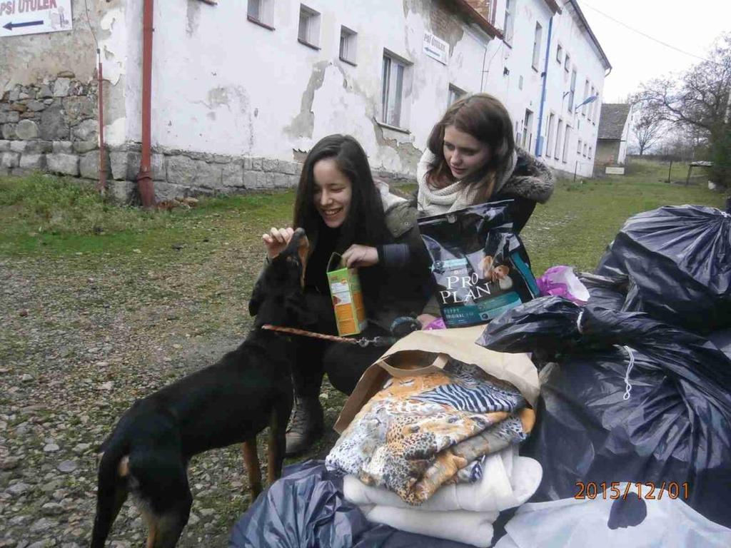 Předání