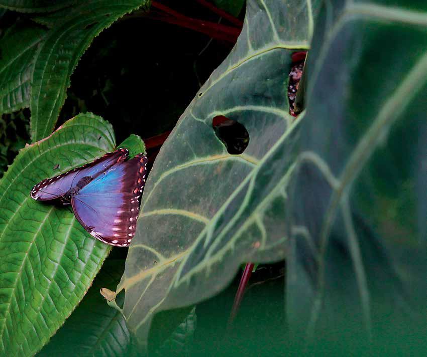 FOTOSOUTĚŽ 37 http://www.cdprovas.