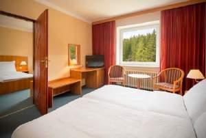 Volný vstup do hotelového bazénu, whirlpoolu a fitnessu (denně od 8:00 do 12:00 a od 13:00 do 21:00 hodin). Volný vstup do sauny a parní lázně (denně od 16:00 do 21:00 hodin).