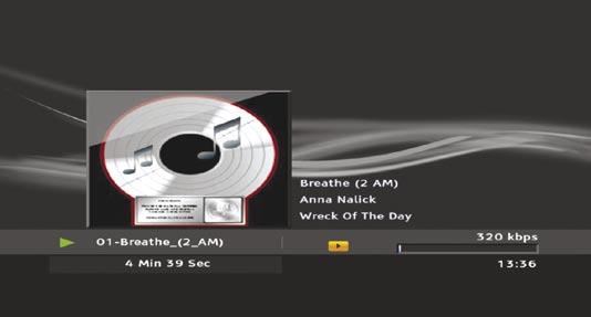Navíc lze TMS využít jako MP3 jukebox nebo prohlížeč obrázků s možností jednotlivého nebo slide show zobrazení.