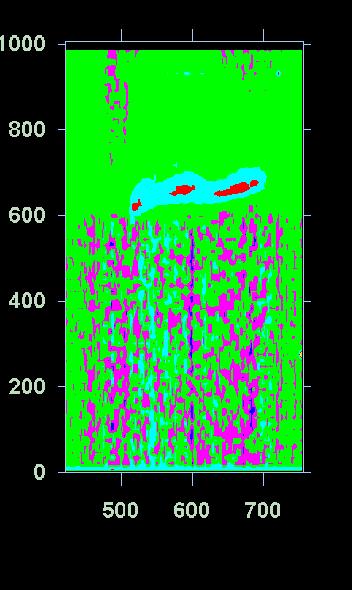Kvantové tečky - separace CE-LIF Coated capillary
