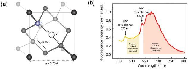 Nanodiamanty + netoxické + stabilní + malé (od 5ti nm výše) + možnost pokrytí - drahá a náročná příprava - excitace viditelným světlem (488-545 nm) - problémy s autofluorescencí biologických látek -