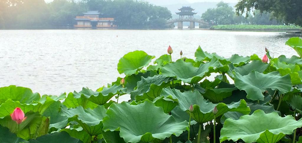 Pohled z Hangzhou Hlavní a nejlidnatější město provincie