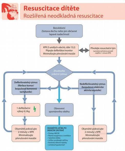 Příloha 5 Rozšířená neodkladná resuscitace dítěte Dostupné z: http://www.