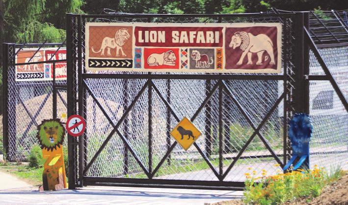Lví safari Radek Hlávka Vjezd do Lvího safari. (zč) Největší novinkou letošní sezony bylo bezesporu otevření lvího safari.