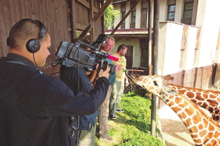 Grafická tvář zoo vycházející z původní africké batiky se během roku 2015 promítala do všech tiskovin, propagačních a prodejních předmětů a její prvky ozdobily další interiéry i exteriéry zahrady.