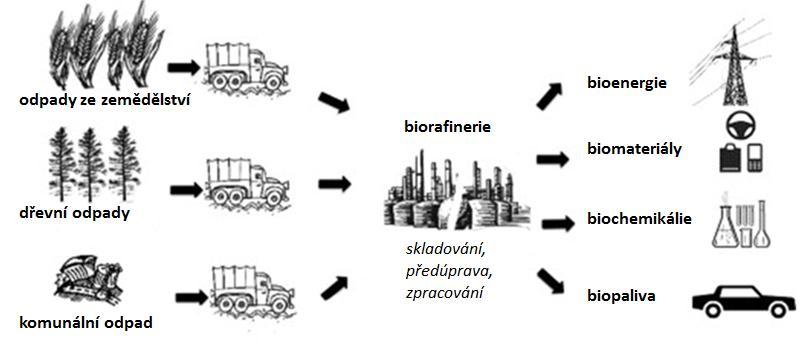 termediate products (chemicals, materials, bioenergy including biofuels) while exploiting the biomass to the fullest extent possible.