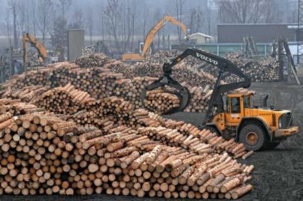 30 Euro 42 17. října 2011 report Jan Kozák PODOBNÝ PŘÍBĚH. - - KAUZY SOUDCE KOZÁKA -» Šlo o insolvenční řízení v koncernu Kordárna, který vyrábí technické tkaniny. Ale tam se hrál zcela jiný příběh.