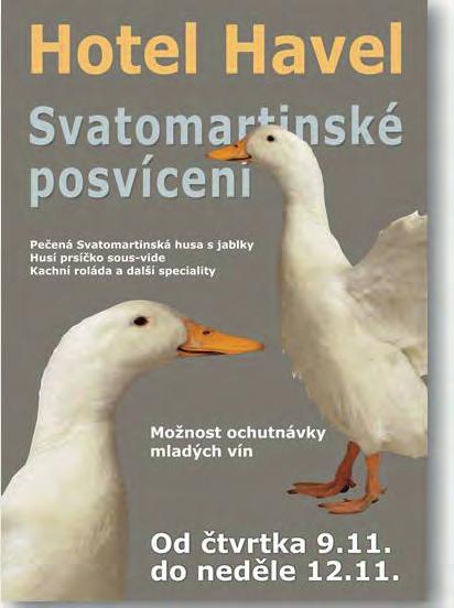 zprávy jak dopadly parlamentní volby v rychnově?