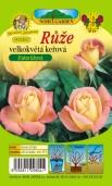 RÒÎE VELKOKVùTÁ KE OVÁ RuÏa