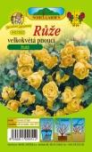 RÒÎE VELKOKVùTÁ PNOUCÍ RuÏa veºkokvetá Èahavá / Ró a wielkokwiatowa pnàca / Large-flowered climbing rose 550or 550tr 5600bb 5650ãe 5670tã X.-V. V.-X. 00-00 cm X.-V. V.-X. 00-00 cm X.-V. V.-X. 00-00 cm X.-V. V.-X. 00-00 cm X.-V. V.-X. 00-00 cm 5700rÛ 570Ïl 590fi X.