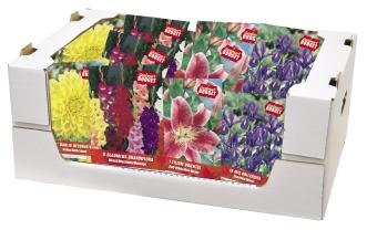 acidanther, liatris, oxalis, sparaxis) 50xx BOX BUDGET GARDEN 75 szt. opakowanie zawiera 75 szt.
