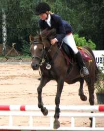 VÝKONNOSTNÍ ZKOUŠKY Zúčastnilo se jedno dvojspřeží Welsh Pony: plemenný hřebec 2927 Chester (B) po Langaas Trinket z Moorkieker Harmony, s klisnou Tamy (B) po Langaas