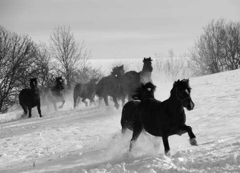Děkujeme všem za spolupráci na tomto zpravodaji v roce 2007, za všechny příspěvky a fotografie, a těšíme se, že je budete posílat ještě hojněji v novém roce 2008!