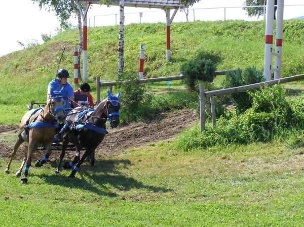 Altenfelden 2007:Monika se svým dvojspřežím klisen WPBR Dobrý den, velmi ráda bych se s Vámi podělila o zážitky z našeho výjezdu na závody spřežení do rakouského Altenfeldenu. CAI-A ALTENFELDEN 14.