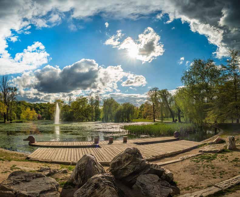 Rybníky ve Stromovce, str.