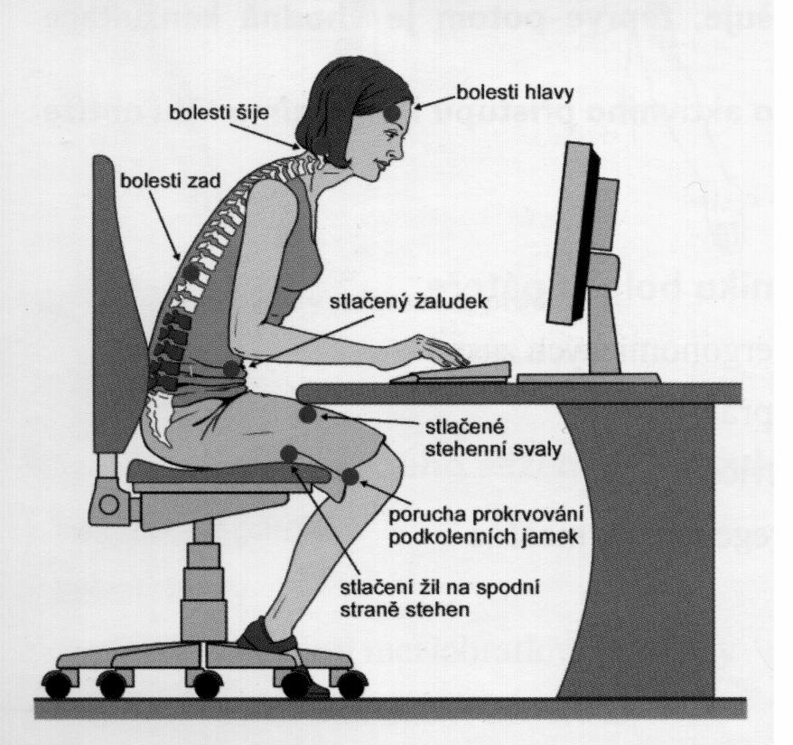6.2.2 Sed Naučit se správnému sedu je nutné, protože sedadla dopravních prostředků, kancelářský nebo domácí sedací nábytek jsou většinou tvarovány pro ochablé držení těla.