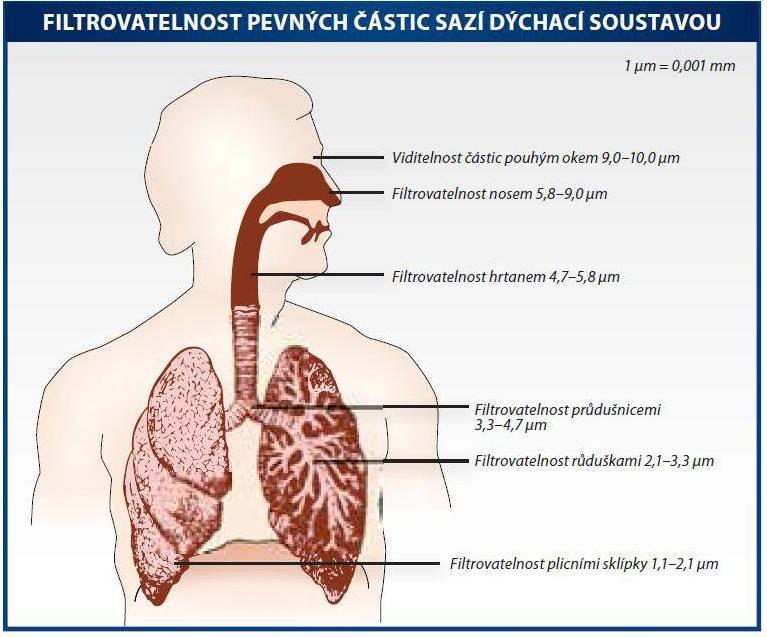Pevné částice (PM anglicky Particulate Matters ) Takto je označována kaţdá látka, která je ve výfukových plynech obsaţena jako pevná částice.