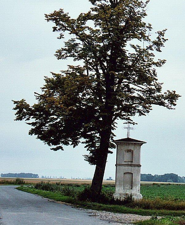 Boží