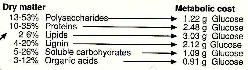 Fotosyntéza Zdroj energie ATP, NADPH (elektronů s vysokým redox potenciálem) využito v rámci buňky! (+ teplo odpar - transport vody + rozpuštěných látek) Zdroj metabolitů cukrů (red.