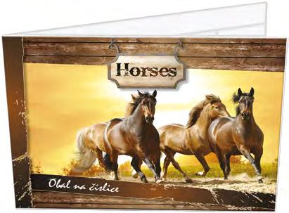 box na sešity s gumou HORSES 7883 A4 desky na sešity s gumou