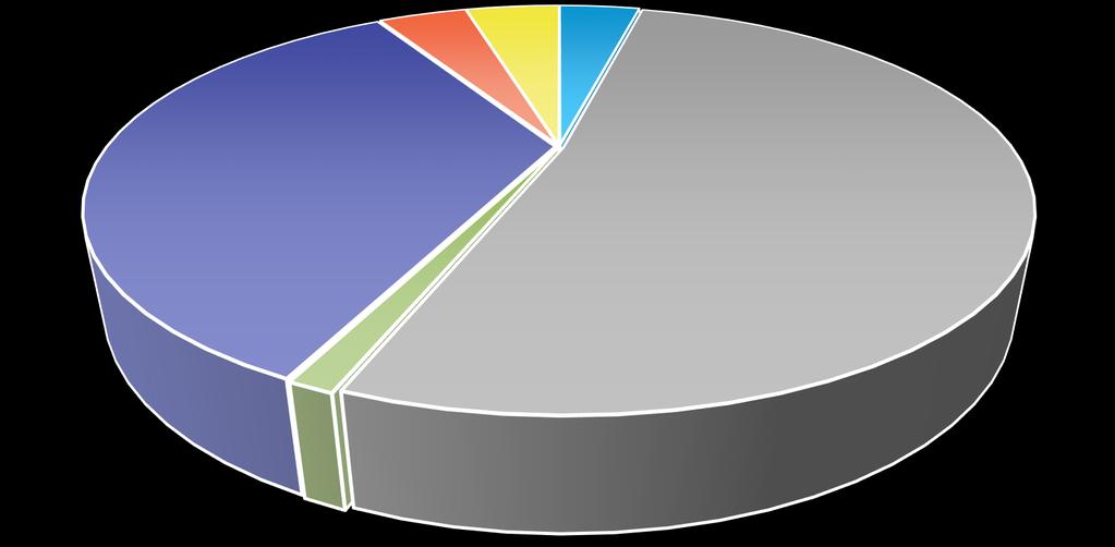 Struktura výrobního portfolia 4% 4% 4% 35% 52%