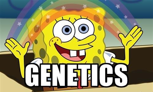 BIOLOGIE A GENETIKA VYPRACOVANÉ