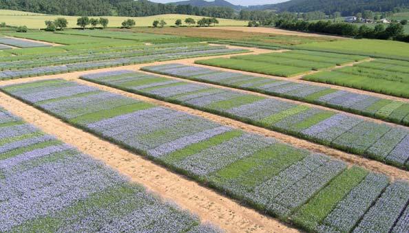 a si Vás dovolují pozvat na Polní den lnu a konopí který se koná ve čtvrtek 26. 6. 2014 v areálu společnosti Agritec Zemědělská 16 Šumperk 787 01 GPS: 49 58 18.519 N, 16 57 57.847 E www.