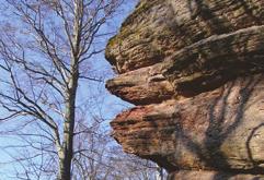 a) Moldanubikum, nazvané podle Vltavy a Dunaje, je souborem metamorfovaných a žulových hornin s oblastmi více nebo méně přeměněných sedimentů. Zabírá celou jižní polovinu Čech a přesahuje na Moravu.