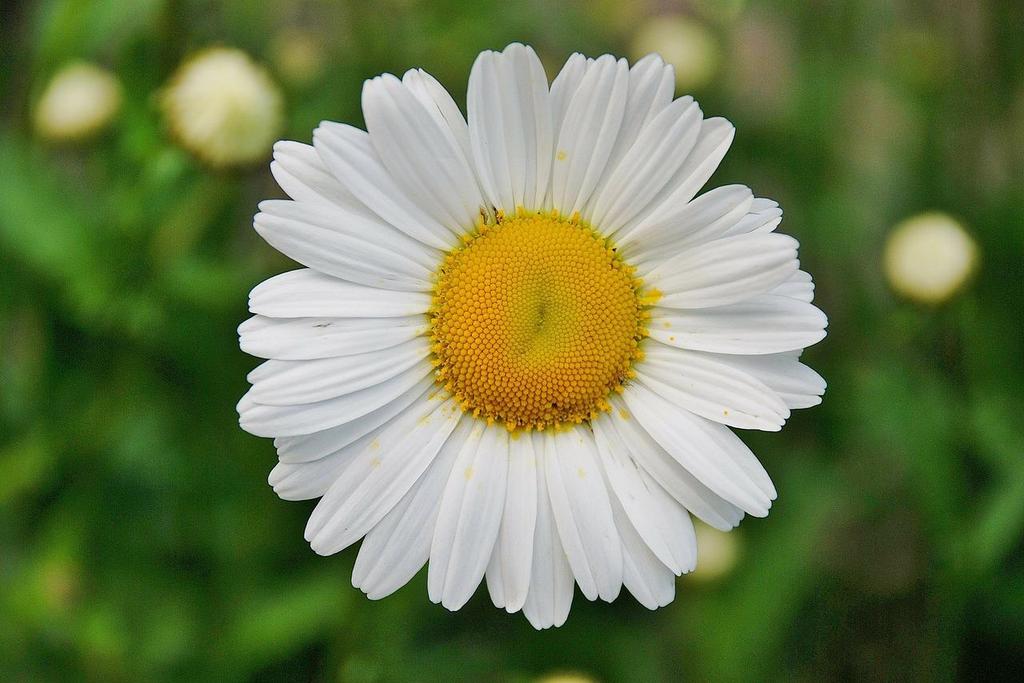 Obrázek 8.