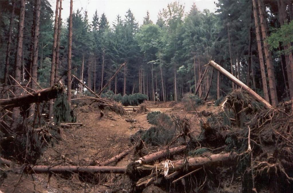 C Stékání Rychlý krátkodobý pohyb horninových hmot ve viskózním stavu. Stékající hmoty jsou ostře odděleny od neporušeného podloţí. Výslednou formou pohybu je proud".