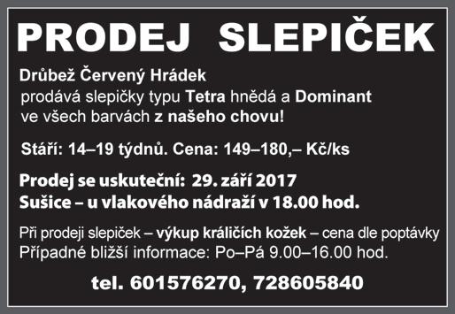 Jan Flégl a Pavel Kopa, kteří loňskou sezonu odehráli za tým DC PEVNÁ RUKA STOD v kategorii D vybojovali titul mistra republiky a postup do vyšší soutěže.