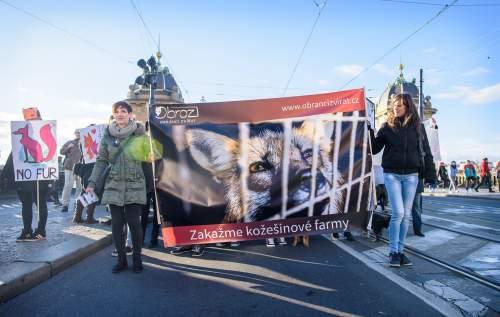 Bylo z nich zjevné, že se na kožešinových farmách podmínky nijak nezlepšily. Norci a lišky na záběrech stále trpí v malých prostorách a jejich tlapky se zaplétají do pletiv na dně klecí.