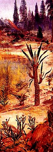 D r u h o h o r y (m e s o z o i k u m ) T r i a s Mesozoikum trvalo téměř 177 miliónů let Pro trias bylo typické teplé, suché (aridní) klima.