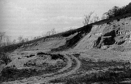 Váně 1944 Xc nuculová vrstva tvoří ji měkčí šedé slínovce štípatelné po vrstvách, dosti bohaté na faunu a to zejména : Prionocyclus ("Schönbachia") germari, Placenticeras orbignyanum, Phylloceras