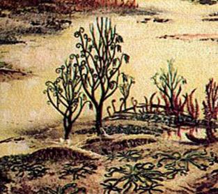 V siluru vznikl spojením Laurentie, Baltiky a Avalonie nový kontinent Laurusie, který se pro velké množství červených klastických sedimentů označuje jako kontinent Old Red.