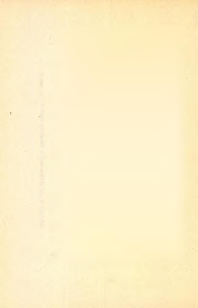 Bronzové a