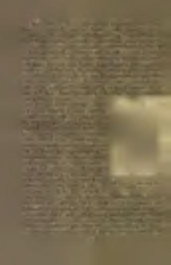 Zdá se, že postup žárových hrobů latěnských anebo germánských kmenů do Čech se zarazil hned na hranicích o silný odpor bojovného kmene gallského s kostrovými hroby latěnskými, jehož veliké