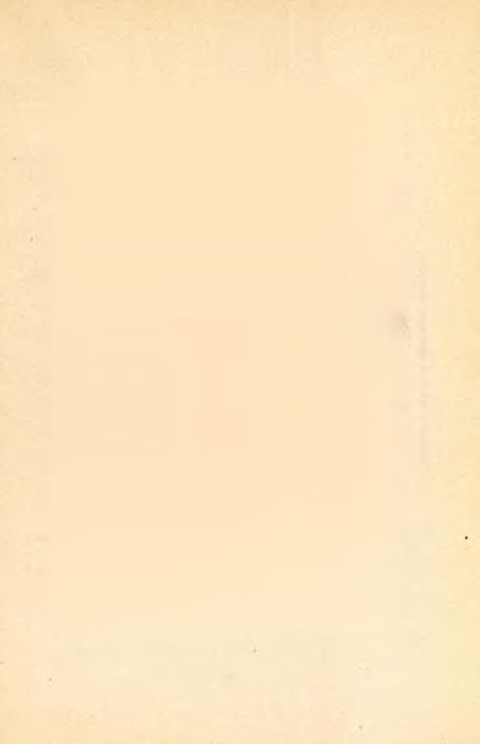 141