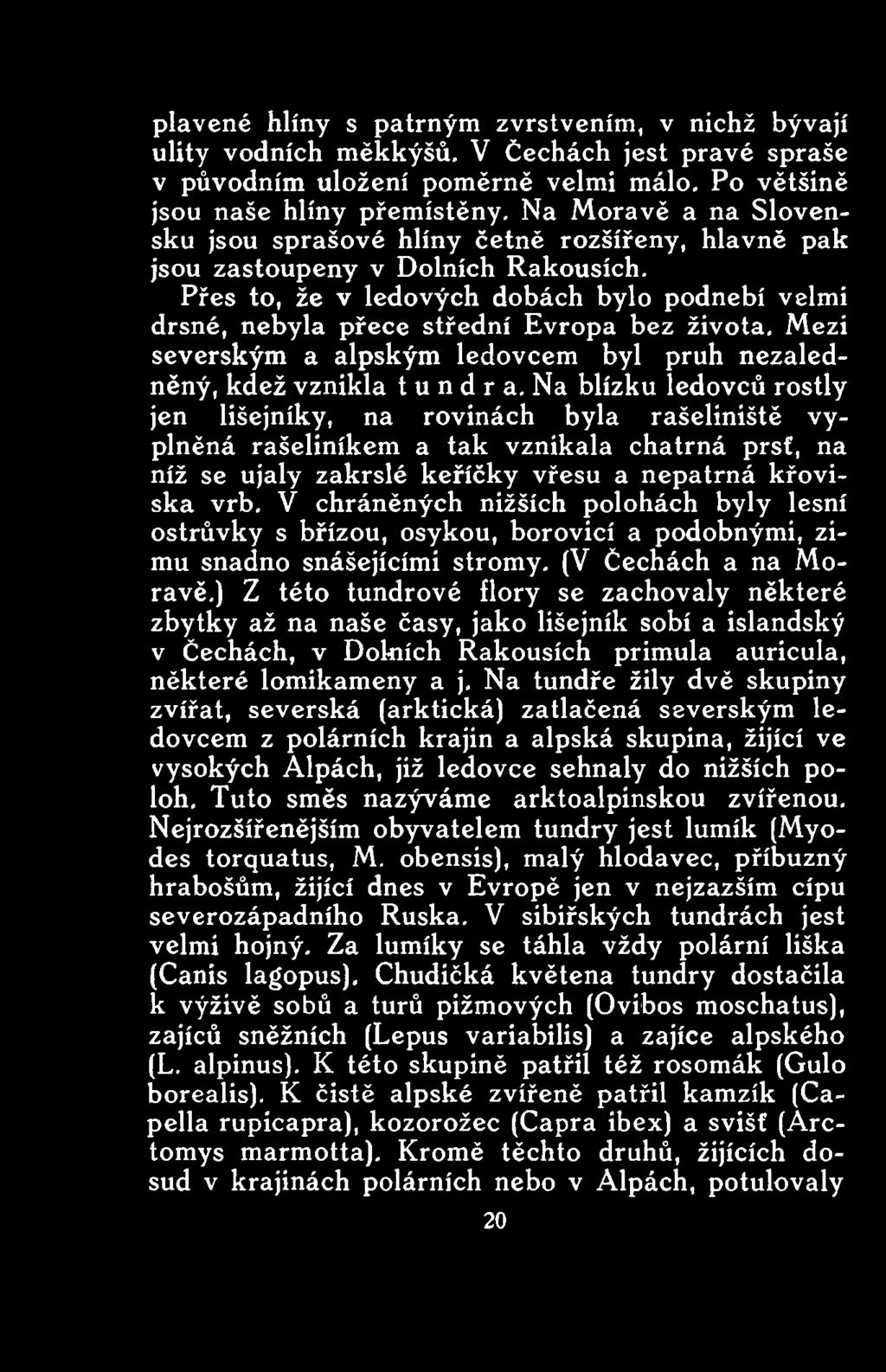 V chráněných nižších polohách byly lesní ostrůvky s břízou, osykou, borovicí a podobnými, zimu snadno snášejícími stromy. (V Čechách a na Moravě.