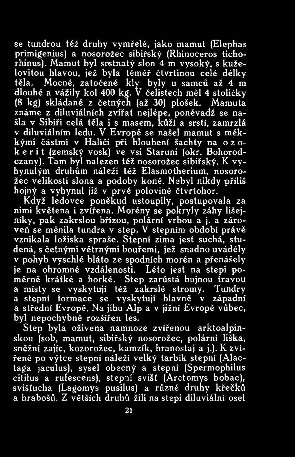 V Evropě se našel mamut s měkkými částmi v Haliči při hloubení šachty na o z o- k e r i t (zemský vosk) ve vsi Staruni (okr. Bohorodczany). Tam byl nalezen též nosorožec sibiřský.