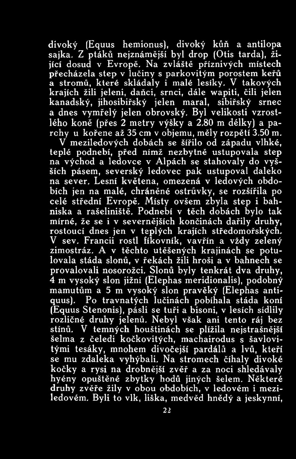 V meziledových dobách se šířilo od západu vlhké, teplé podnebí, před nímž nezbytně ustupovala step na východ a ledovce v Alpách se stahovaly do vyšších pásem, severský ledovec pak ustupoval daleko na